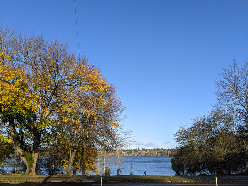 Greenlake in the fall